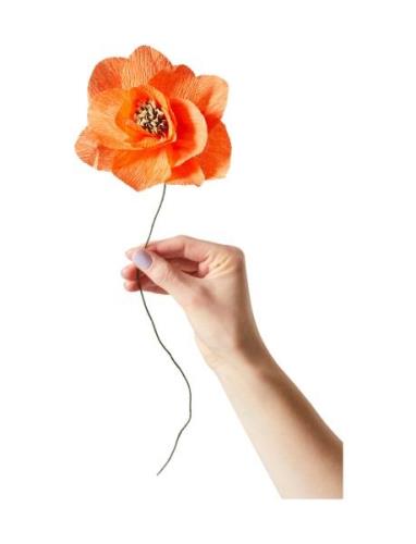 Paper Flower Home Decoration Paper Flowers Orange Studio About