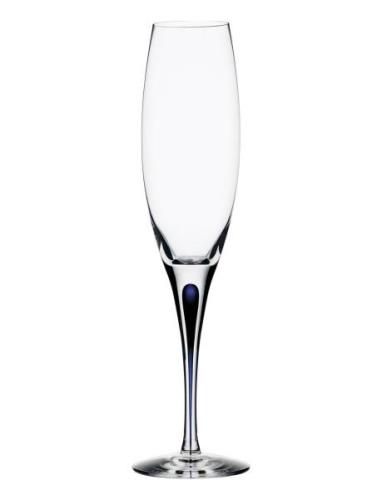 Intermezzo Blue Champagne 26Cl  Home Tableware Glass Champagne Glass N...