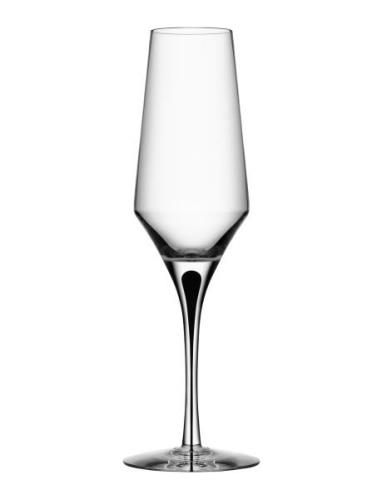 Metropol Champagne 27Cl Home Tableware Glass Champagne Glass Nude Orre...