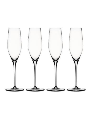 Authentis Champagneglas 19 Cl 4-P Home Tableware Glass Champagne Glass...