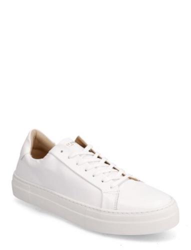 Shame Leather Shoe Low-top Sneakers White Sneaky Steve