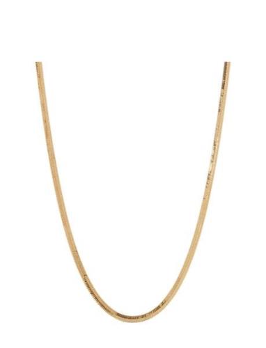 The Classique Herringb Chain-Gold Accessories Jewellery Necklaces Chai...