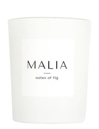 Notes Of Fig Candle Duftlys Nude MALIA