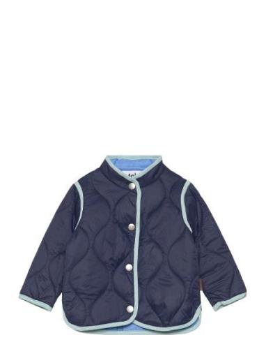 Harrie Outerwear Jackets & Coats Quilted Jackets Navy Molo