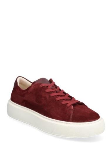 Starlight U Suede Low-top Sneakers Burgundy Sneaky Steve