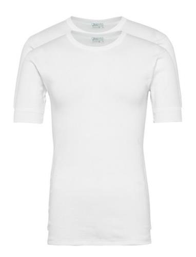 Jbs T-Shirt 2-Pack Organic Tops T-Kortærmet Skjorte White JBS