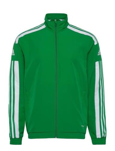 Sq21 Pre Jkt Sport Sweatshirts & Hoodies Sweatshirts Green Adidas Perf...