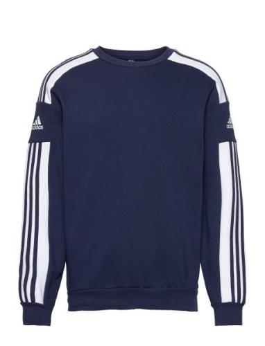Squadra21 Sweat Top Sport Sweatshirts & Hoodies Sweatshirts Blue Adida...
