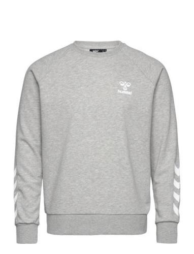 Hmlisam 2.0 Sweatshirt Sport Sweatshirts & Hoodies Sweatshirts Grey Hu...