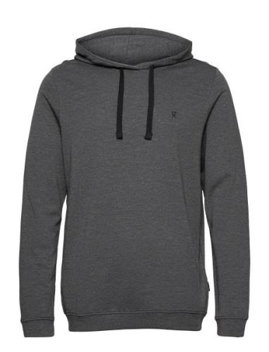 Jbs Of Dk Hoodie Tops Sweatshirts & Hoodies Hoodies Grey JBS Of Denmar...