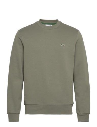 Sweatshirts Tops Sweatshirts & Hoodies Sweatshirts Green Lacoste