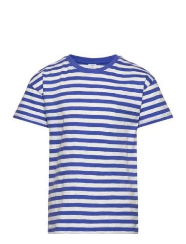 Top Ss Essential Stripe Tops T-Kortærmet Skjorte Blue Lindex