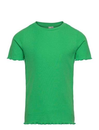 Pkdora Ss O-Neck Solid Rib Top Tops T-Kortærmet Skjorte Green Little P...