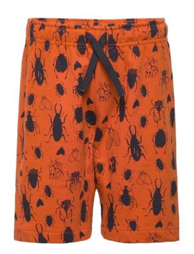 Sgjordan Bugs Shorts Bottoms Shorts Orange Soft Gallery