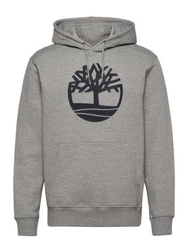 Kennebec River Tree Logo Hoodie Mgh/Dark Sapphire Tops Sweatshirts & H...
