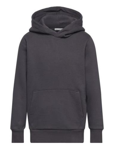 Printed Hoody Tops Sweatshirts & Hoodies Hoodies Grey Tom Tailor
