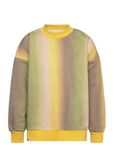 Sweatshirt Tops Sweatshirts & Hoodies Sweatshirts Yellow Rosemunde Kid...