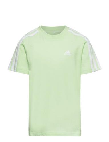 Lk 3S Co Tee Sport T-Kortærmet Skjorte Green Adidas Performance