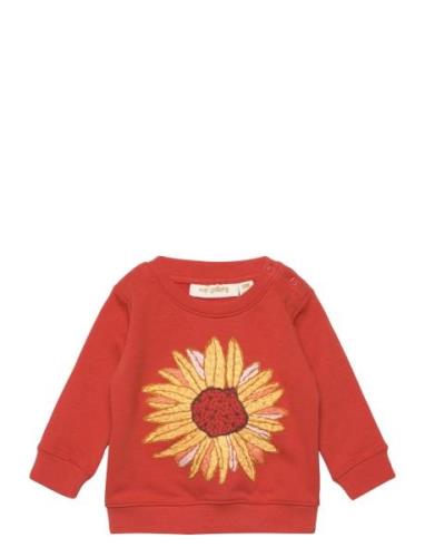 Sgbbuzz Sunflower Sweatshirt Tops Sweatshirts & Hoodies Sweatshirts Or...