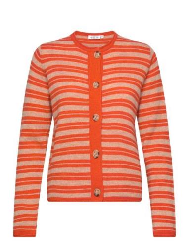 Malica Tops Knitwear Cardigans Orange Masai