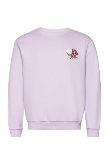 Felipe Sweatshirt Tops Sweatshirts & Hoodies Sweatshirts Pink Les Deux