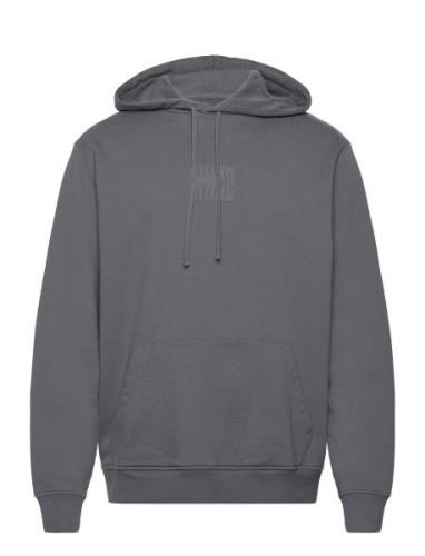 Varden Oth Hoody Tops Sweatshirts & Hoodies Hoodies Grey AllSaints