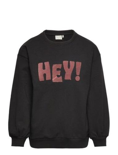 Sweatshirt Ls Tops Sweatshirts & Hoodies Sweatshirts Black Minymo