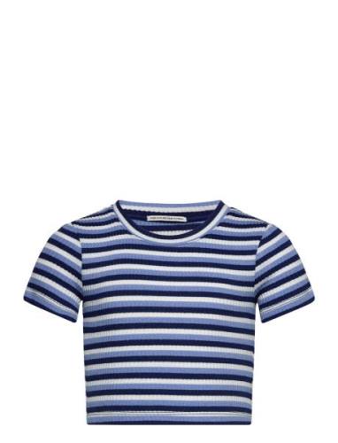 Cropped Striped Rib T-Shirt Tops T-Kortærmet Skjorte Blue Tom Tailor