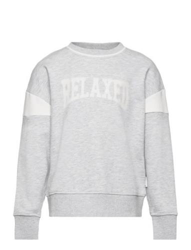 Over Printed Sweatshirt Tops Sweatshirts & Hoodies Sweatshirts Grey To...