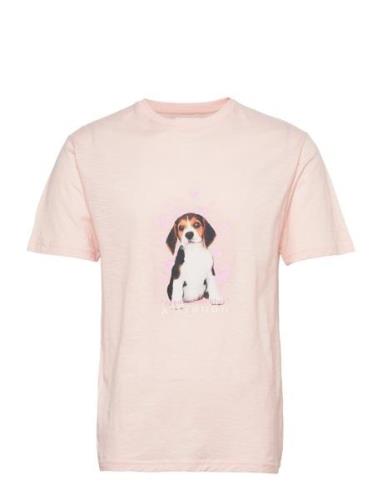 Ace Cute Doggy T-Shirt Tops T-Kortærmet Skjorte Pink Double A By Wood ...