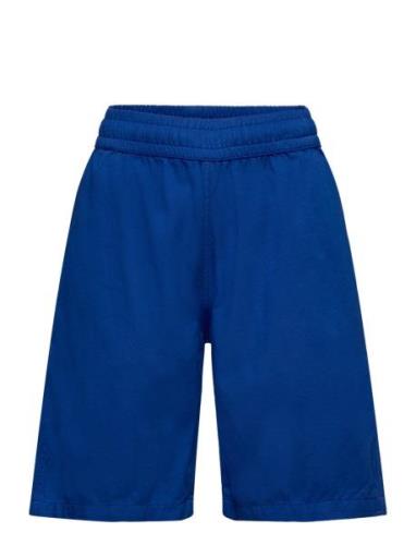 Arrow Bottoms Shorts Blue Molo