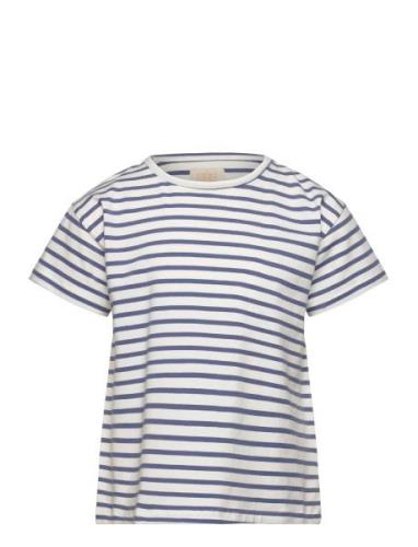 T-Shirt Ss Stripe Tops T-Kortærmet Skjorte Blue Creamie