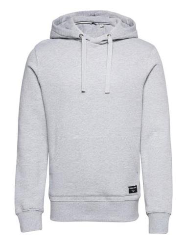Centre Hoodie Sport Sweatshirts & Hoodies Hoodies Grey Björn Borg