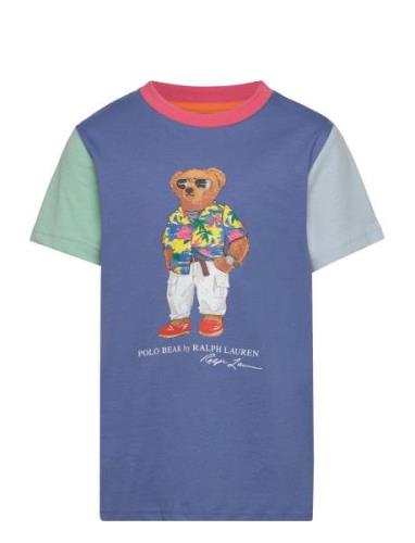 Polo Bear Color-Blocked Cotton Tee Tops T-Kortærmet Skjorte Multi/patt...