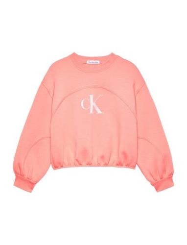 Iridescent Ck Logo Cn Sweatshirt Tops Sweatshirts & Hoodies Sweatshirt...