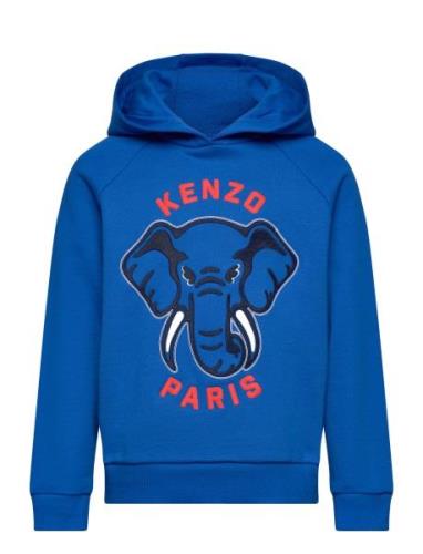 Hooded Sweatshirt Tops Sweatshirts & Hoodies Hoodies Blue Kenzo