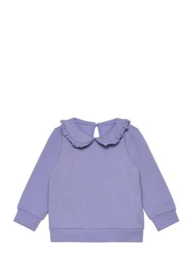 Nmftami Sweat Bru Box Tops Sweatshirts & Hoodies Sweatshirts Purple Na...