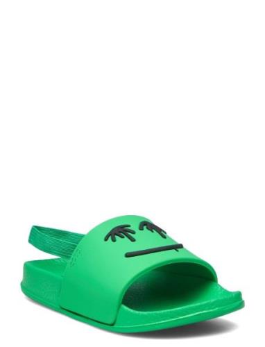 Zhappy Slippers Hjemmesko Green Molo