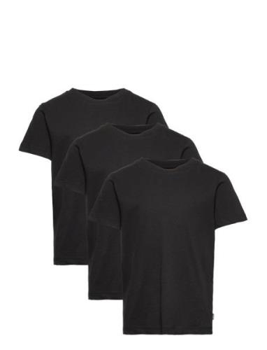 Jjeorganic Basic Tee Ss 3Pk Mp Jnr Tops T-Kortærmet Skjorte Black Jack...