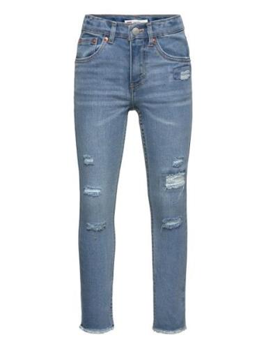 Levi's® 512™ Slim Fit Tapered Jeans Bottoms Jeans Skinny Jeans Blue Le...