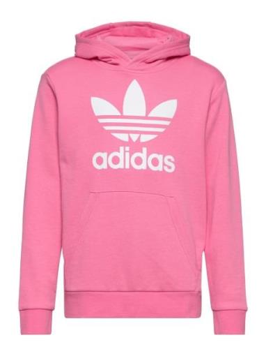 Trefoil Hoodie Sport Sweatshirts & Hoodies Hoodies Pink Adidas Origina...