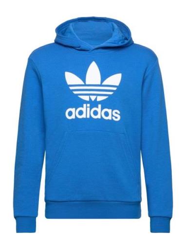 Trefoil Hoodie Sport Sweatshirts & Hoodies Hoodies Blue Adidas Origina...