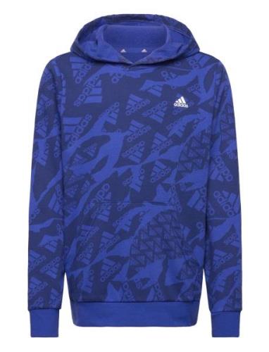 J Camlog Ft Hd Sport Sweatshirts & Hoodies Hoodies Blue Adidas Perform...