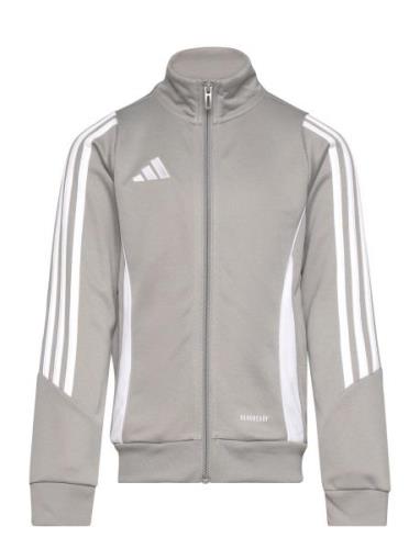 Tiro24 Trjkty Sport Sweatshirts & Hoodies Sweatshirts Grey Adidas Perf...