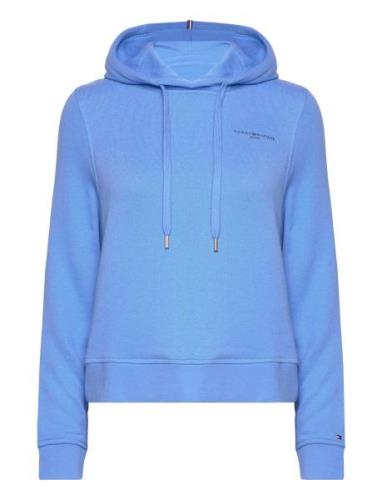 1985 Reg Mini Corp Logo Hoodie Tops Sweatshirts & Hoodies Hoodies Blue...