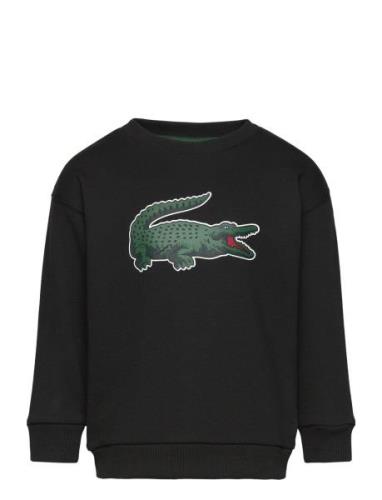 Sweatshirts Sport Sweatshirts & Hoodies Sweatshirts Black Lacoste