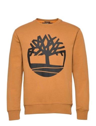 Core Logo Crew Bb Designers Sweatshirts & Hoodies Sweatshirts Orange T...