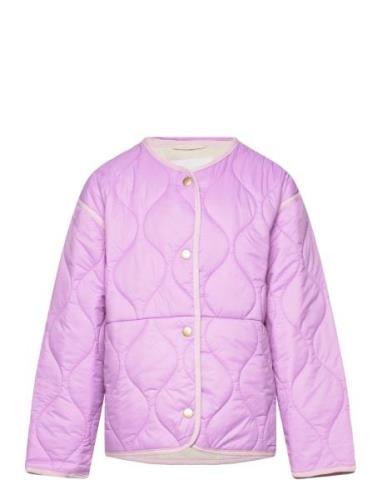Hailey Outerwear Jackets & Coats Quilted Jackets Purple Molo
