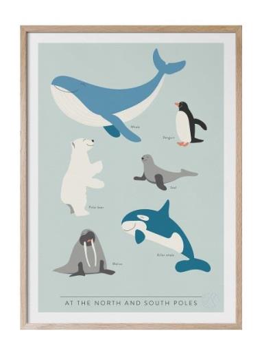 At The North And South Poles - På Engelska Home Kids Decor Posters & F...