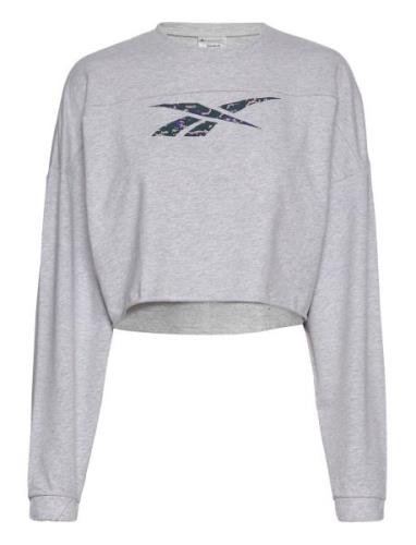 Modern Safari Coverup Sport Sweatshirts & Hoodies Sweatshirts Grey Ree...